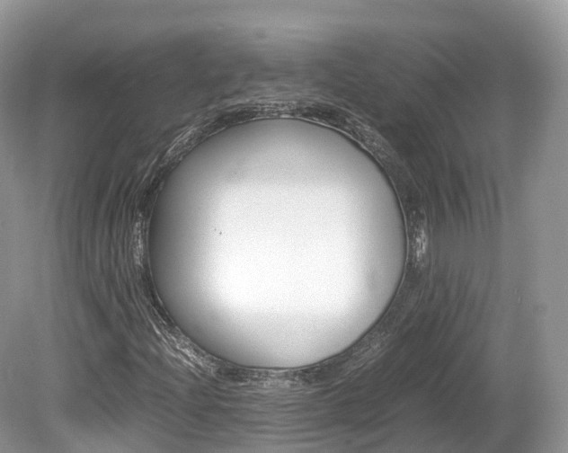 X0000080191204200612081151