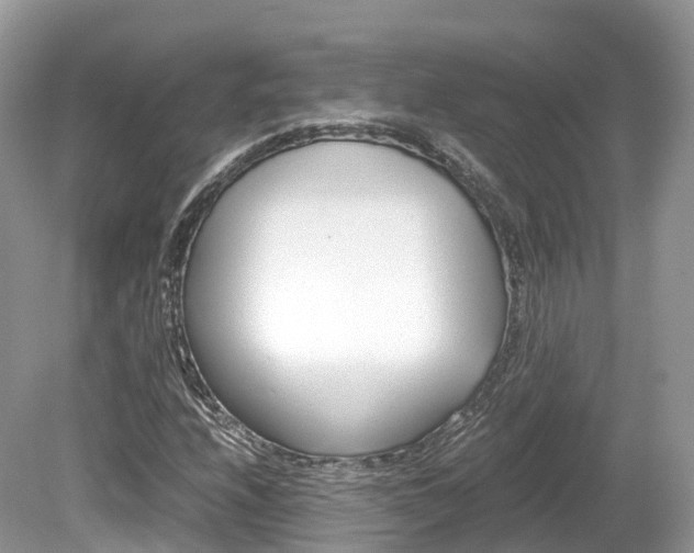X0000080191208200612081151