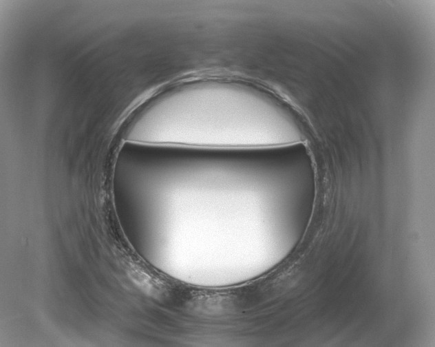 X0000080191213200612081151