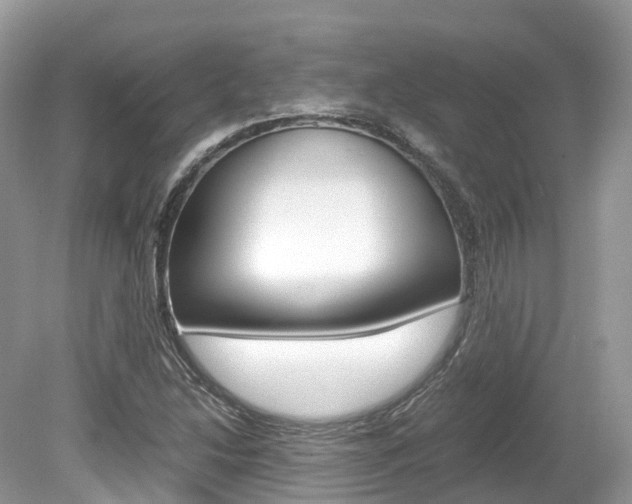 X0000080191214200612081151