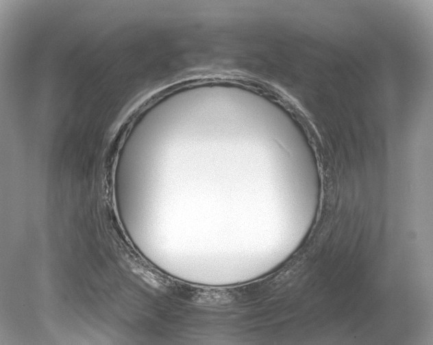 X0000080191215200612081151
