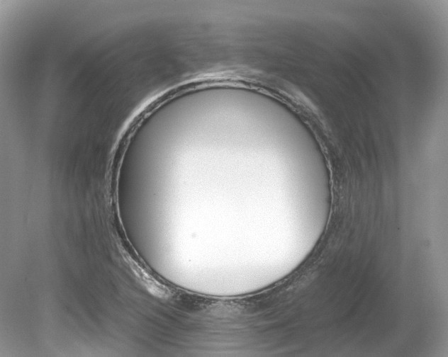 X0000080191216200612081151
