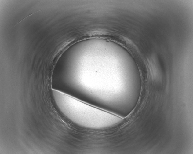 X0000080191217200612081151