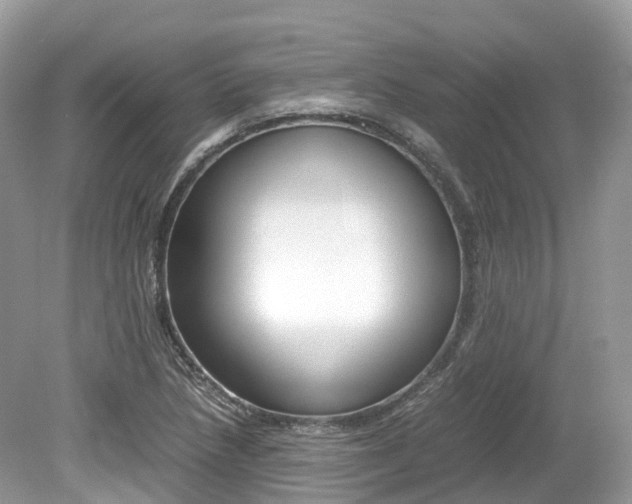 X0000080191218200612081151