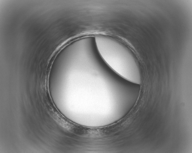 X0000080191220200612081151