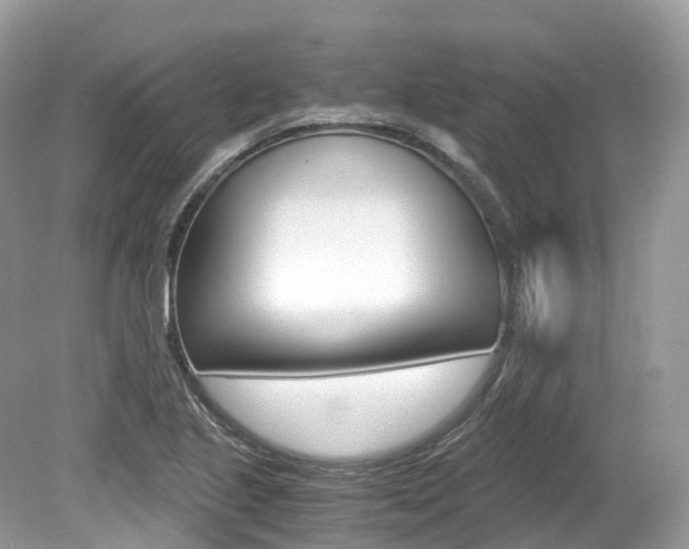 X0000080191221200612081151