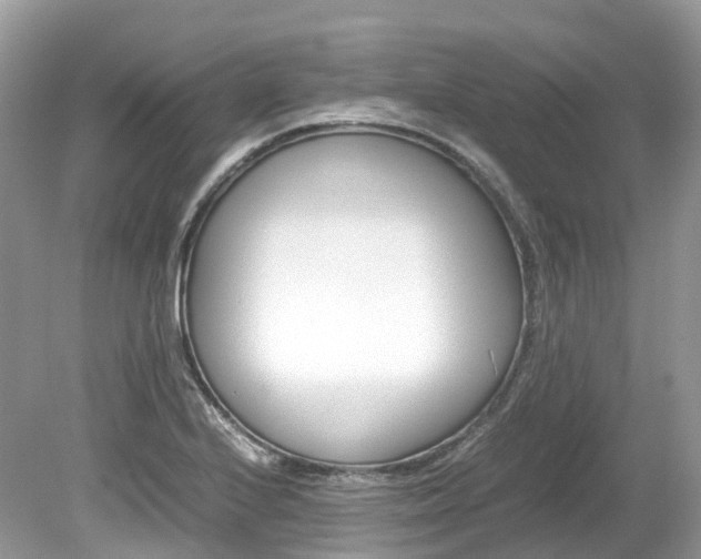 X0000080191224200612081151