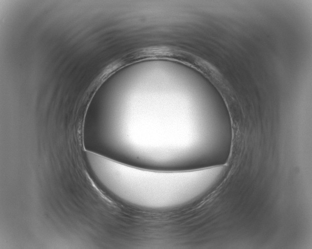 X0000080191225200612081151