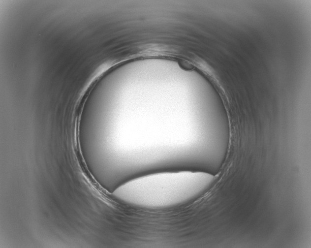 X0000080191227200612081151