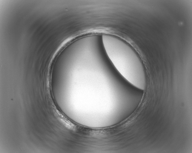 X0000080191232200612081151