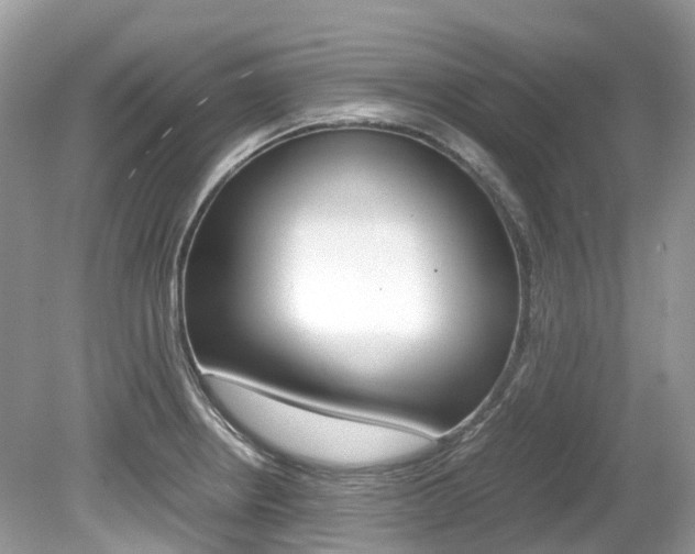 X0000080191234200612081151