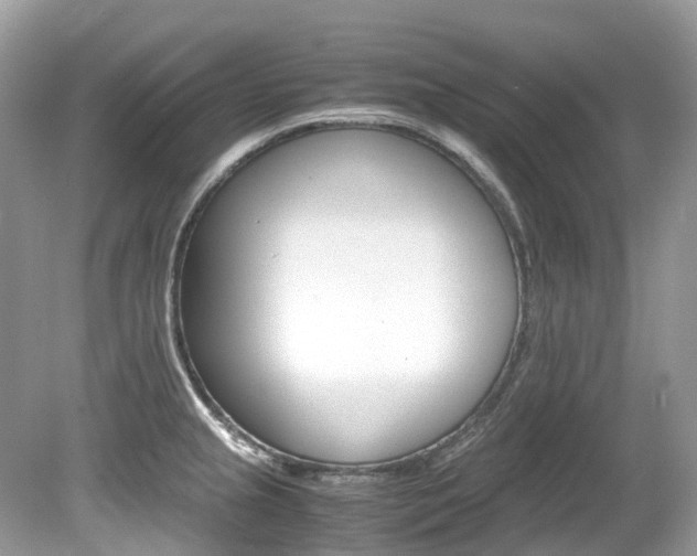 X0000080191237200612081151