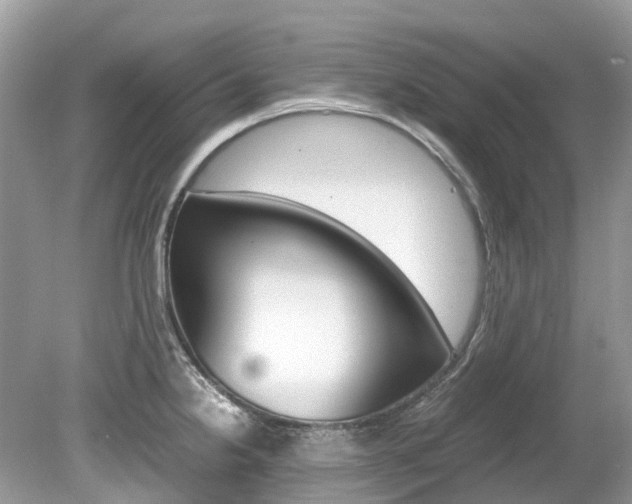 X0000080191238200612081151