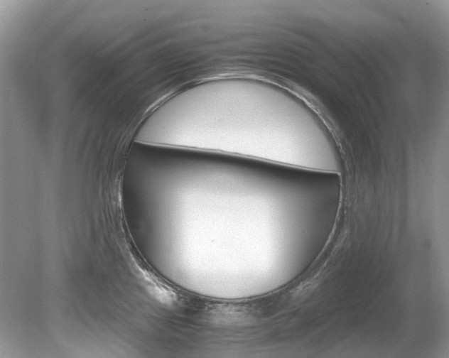 X0000080191241200612081152