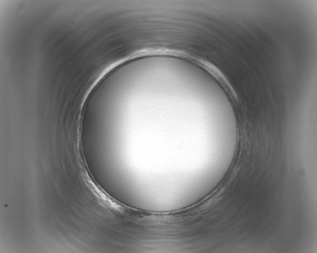 X0000080191244200612081152