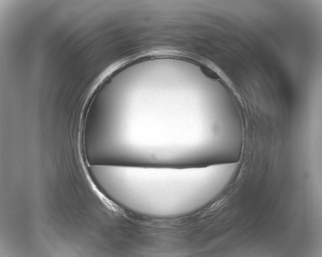 X0000080191245200612081152