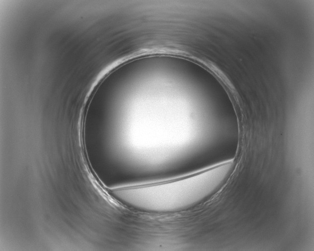 X0000080191246200612081152