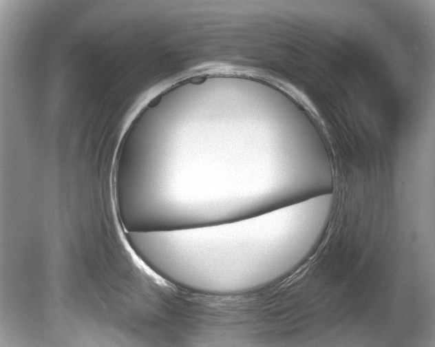 X0000080191247200612081152