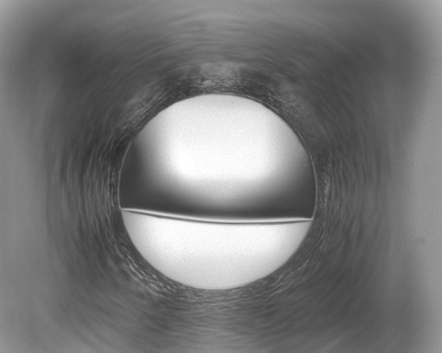 X0000080191250200612081151