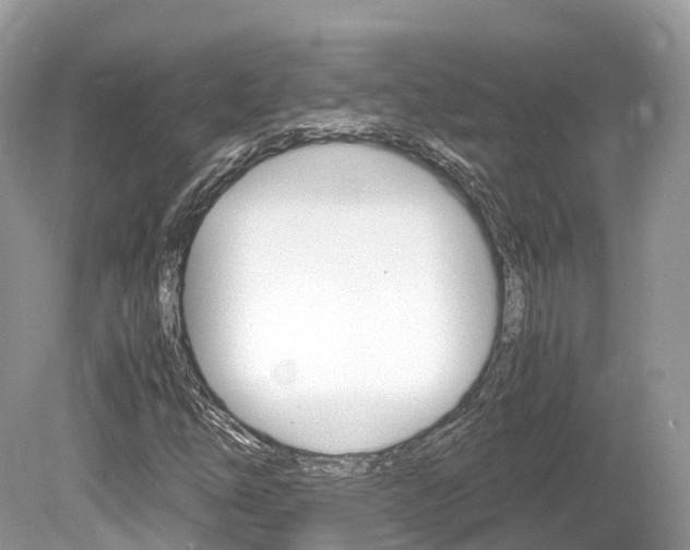 X0000080191254200612081151
