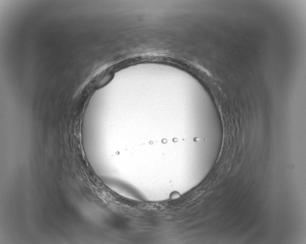 X0000080191255200612081151