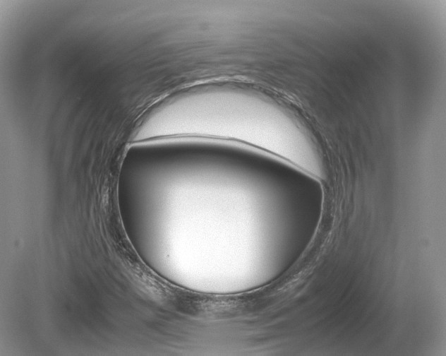 X0000080191257200612081151