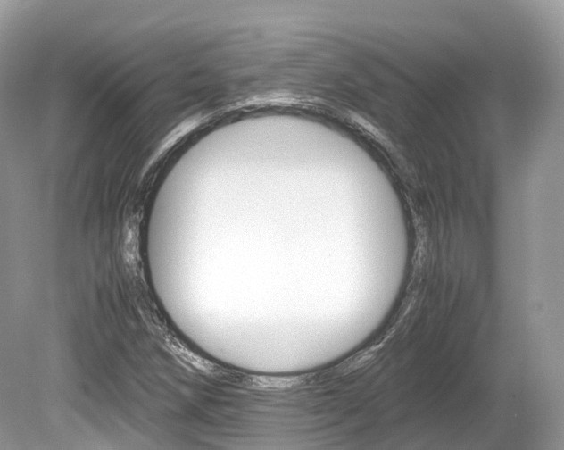 X0000080191258200612081151