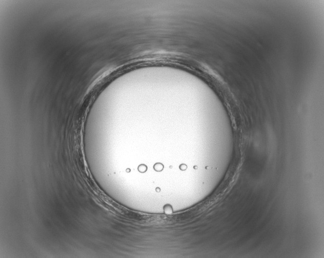 X0000080191259200612081151