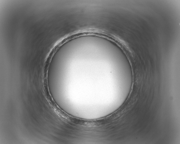 X0000080191264200612081151