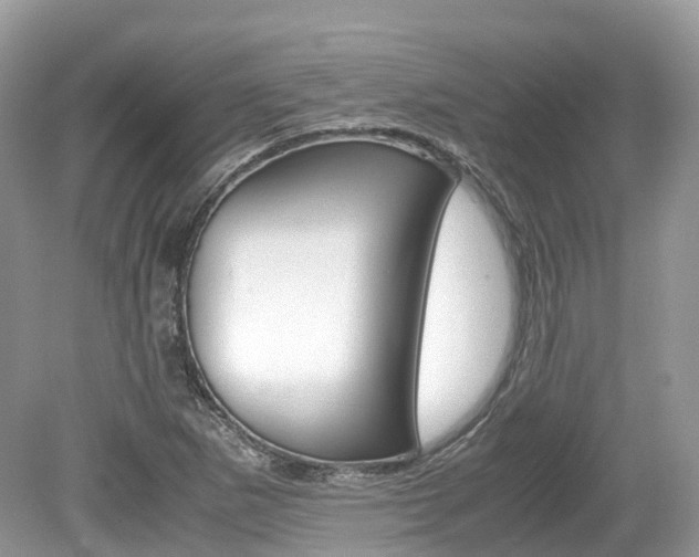 X0000080191265200612081151