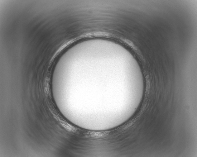 X0000080191266200612081151