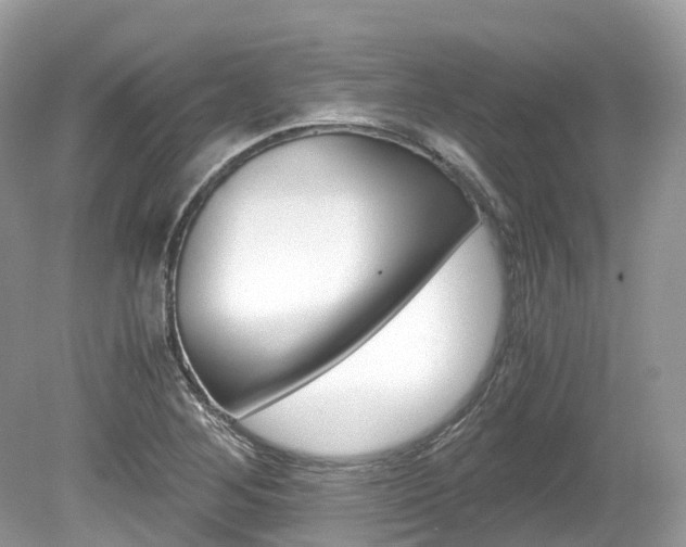 X0000080191268200612081150