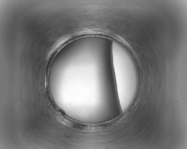 X0000080191269200612081150