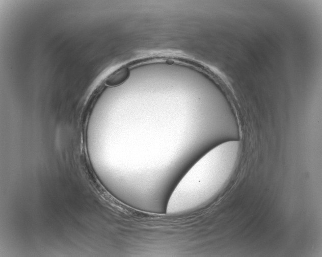 X0000080191271200612081150
