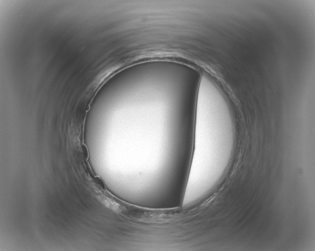 X0000080191273200612081150