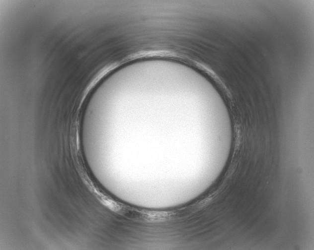 X0000080191274200612081150