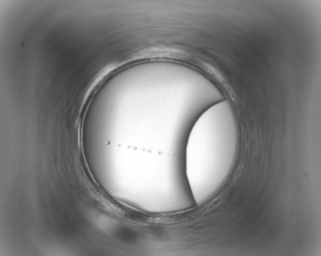 X0000080191275200612081150