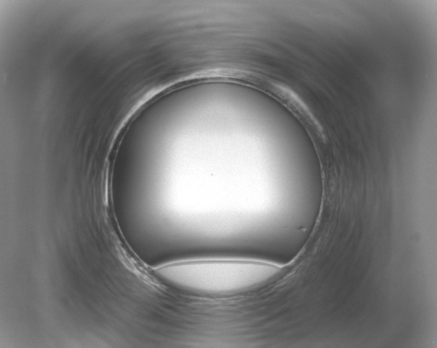 X0000080191276200612081150