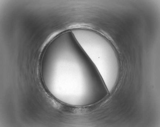 X0000080191277200612081150