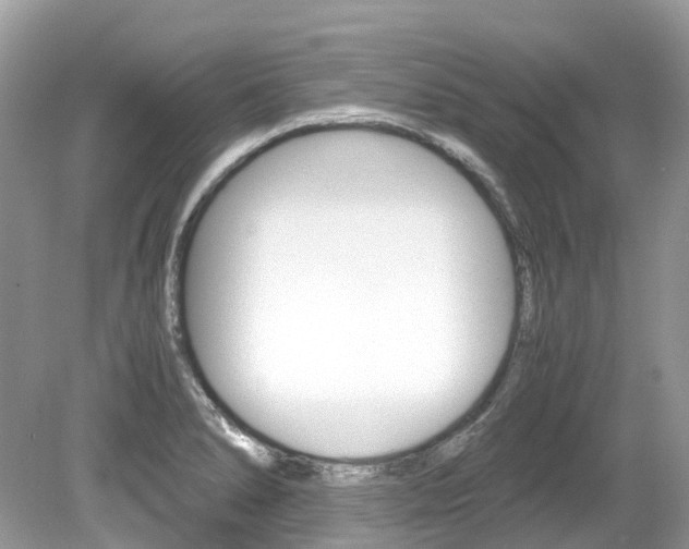 X0000080191278200612081150