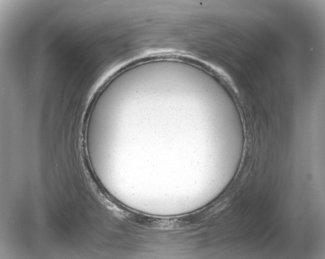 X0000080191279200612081150
