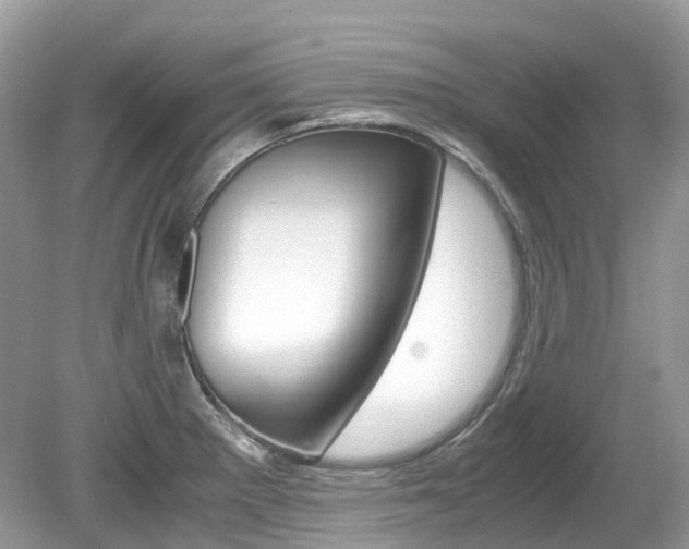 X0000080191281200612081150