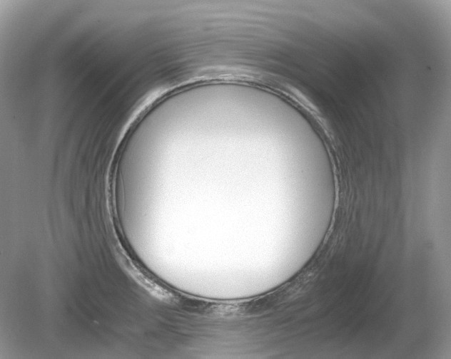 X0000080191283200612081150