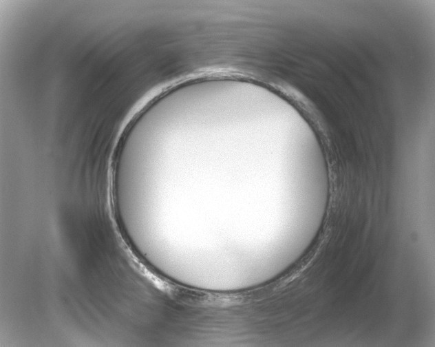 X0000080191286200612081150