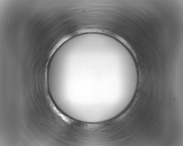 X0000080191290200612081150
