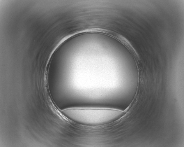X0000080191292200612081150