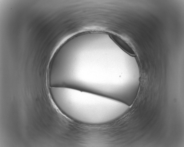 X0000080191295200612081150