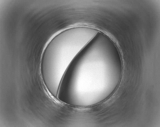 X0000080191296200612081150