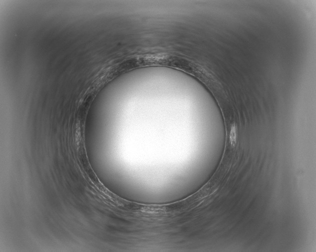 X0000080191299200612081149