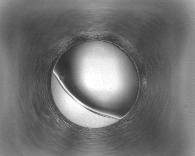 X0000080191300200612081149